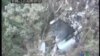 台灣兩軍機夜航訓練發生撞山事故