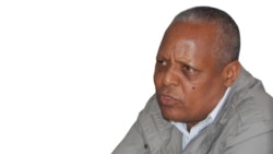 “ስህተትን ማመን አዲሱ የኢሕአዴግ አካሄድ ነው” - መረራ ጉዲና