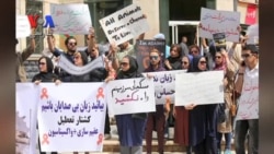 درخواست توقف سگ کشی با نامه نگاری مقام ها و فتوای مراجع دینی