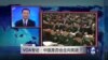 VOA专访：中国是否会走向宪政