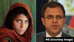 نشر تصویر شربت گل در پشتی مجلۀ نشنل جیوگرافیک به وی شهرت جهانی بخشید