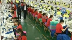 歐盟委員會建議禁止歐盟市場上的所有強迫勞動產品