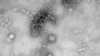 Health: Coronavirus Prevention Tips